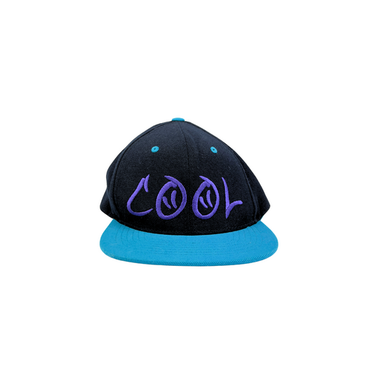 Cool Embroidered Snapback